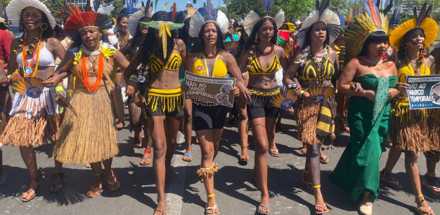 Marcha Indigenas.png